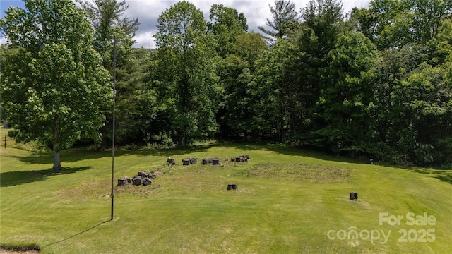 1424 Bear Creek Rd, Bakersville, NC 28705 - photo 23