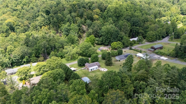 1424 Bear Creek Rd, Bakersville, NC 28705 - photo 32