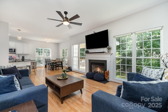 11624 Crossroads Pl, Concord, NC 28025 - living room featuring light wood-type flooring, ceiling fan, and a fireplace with flush hearth