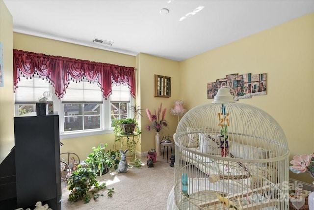 16402 Doves Canyon Ln, Charlotte, NC 28278 - sitting room with carpet floors and baseboards