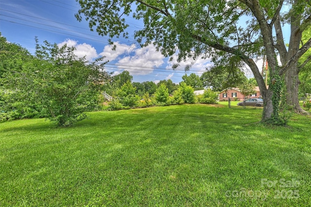 3729 Woodleaf Rd, Charlotte, NC 28205 - view of grassy yard