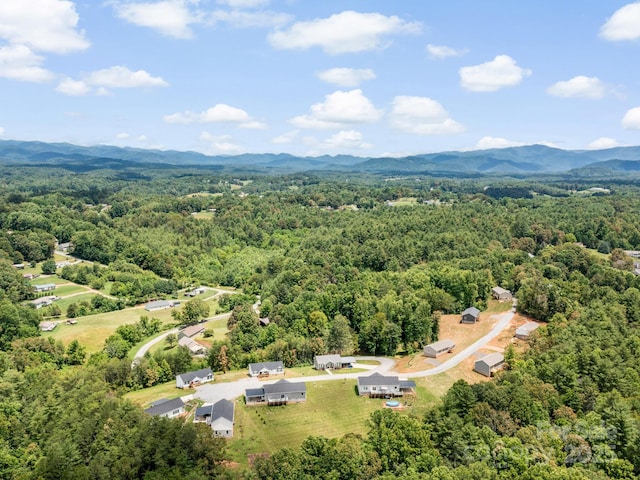 207 Walnut Branch Rd, Weaverville, NC 28787 - drone / aerial view of mountains