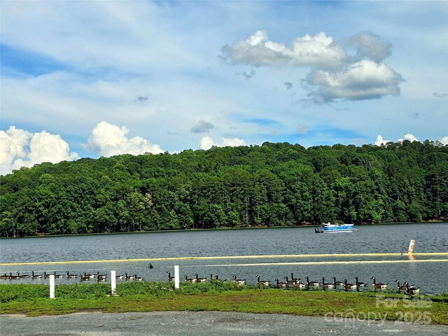 29 Willow St Unit 31, Badin, NC 28009 - photo 38