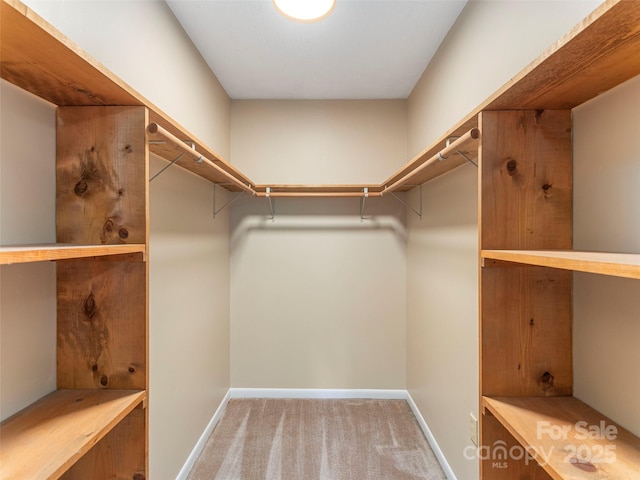 286 Keith Dr, Canton, NC 28716 - walk in closet featuring carpet flooring