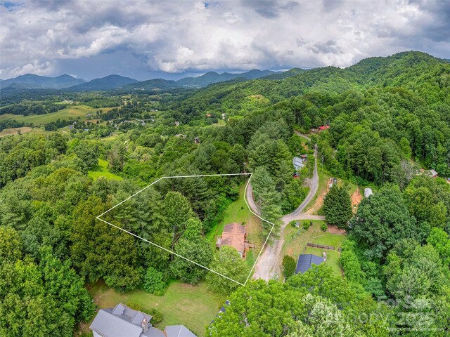 286 Keith Dr, Canton, NC 28716 - view of property location featuring property boundaries highlighted and a mountain backdrop
