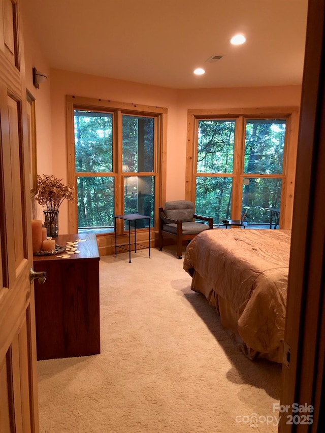 3058 Golden Rd, Lake Toxaway, NC 28747 - photo 5