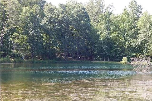1228 Churchfield Ln, Rockwell, NC 28138 - photo 3