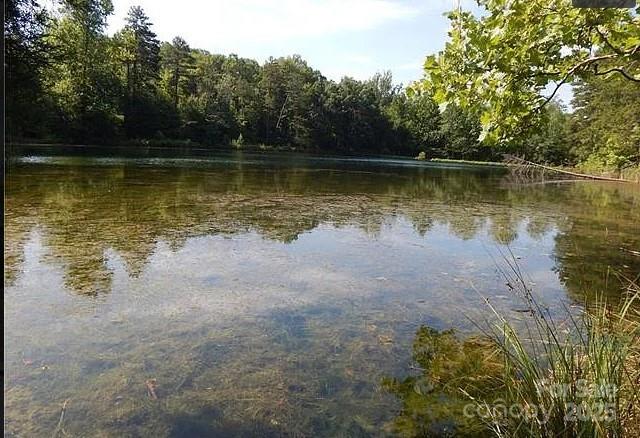 1228 Churchfield Ln, Rockwell, NC 28138 - photo 5