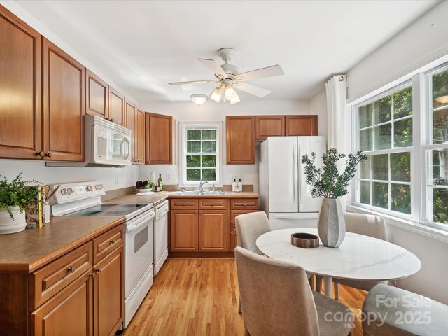 5828 Wilora Lake Rd, Charlotte, NC 28212 - photo 12