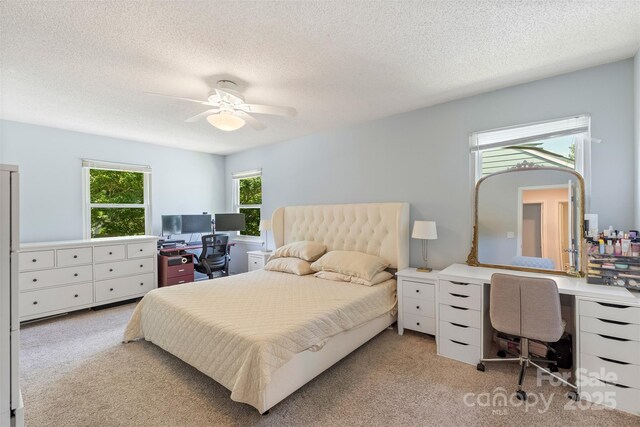 2012 Killarney Pl, Charlotte, NC 28262 - photo 20