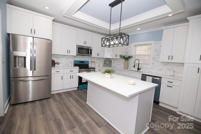 305 E Henry St, Belmont, NC 28012 - kitchen featuring stainless steel appliances, a tray ceiling, recessed lighting, white cabinets, and light countertops