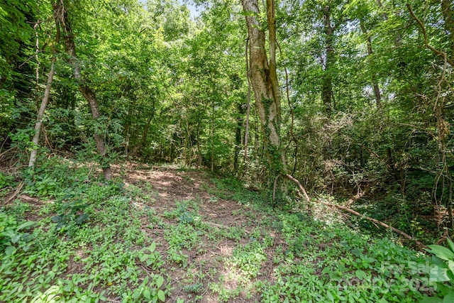 165 Fieldstone Farm Dr, Statesville, NC 28625 - photo 43