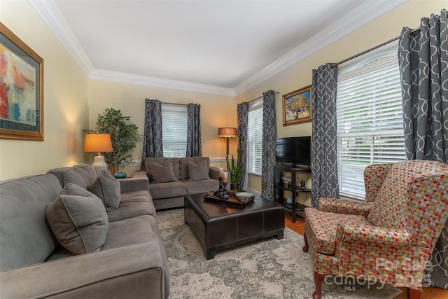 115 White Ash Dr Unit E, Asheville, NC 28801 - living room with ornamental molding and wood finished floors