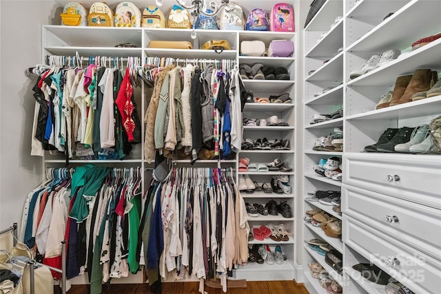 3020 Waxhaw Crossing Dr, Waxhaw, NC 28173 - spacious closet featuring wood finished floors