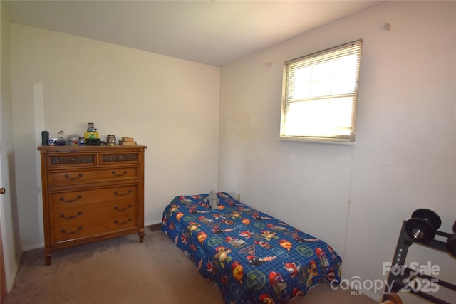 141 Azalea Dr, Connelly Springs, NC 28612 - view of carpeted bedroom
