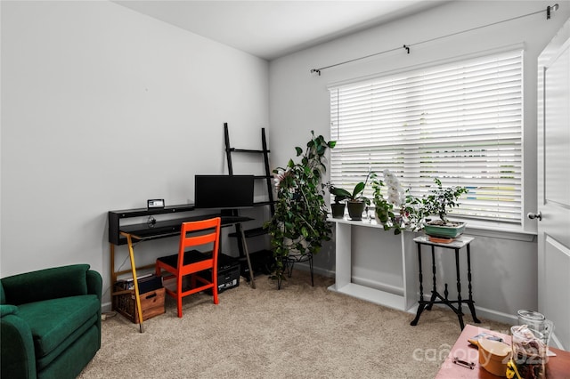 192 Culloden Dr, Mocksville, NC 27028 - carpeted office with baseboards