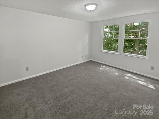 424 Mallard Dr, Pineville, NC 28134 - empty room featuring dark carpet and a textured ceiling