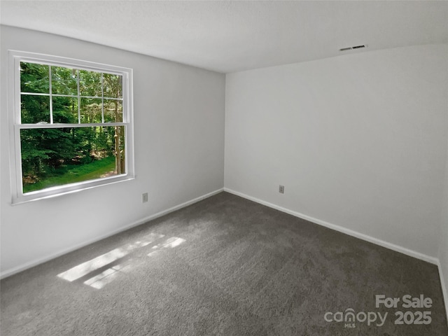 424 Mallard Dr, Pineville, NC 28134 - unfurnished room with carpet and baseboards