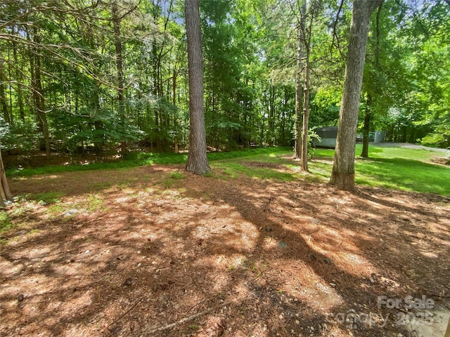 424 Mallard Dr, Pineville, NC 28134 - view of grassy yard