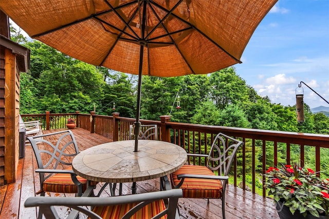 44 Black Bear Ln, Whittier, NC 28789 - photo 20
