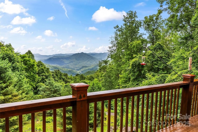 44 Black Bear Ln, Whittier, NC 28789 - photo 21