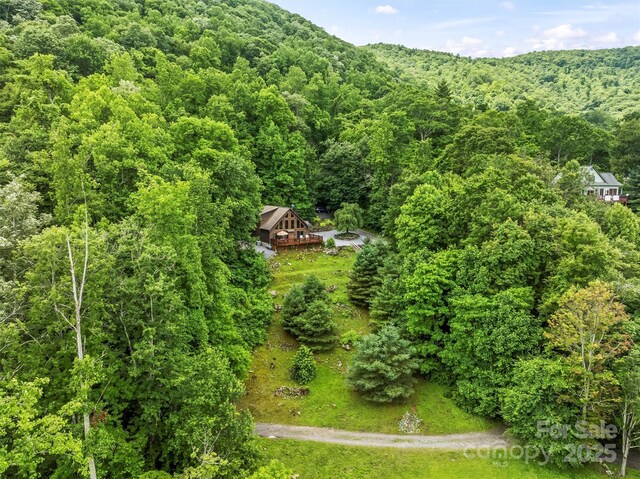 44 Black Bear Ln, Whittier, NC 28789 - photo 44