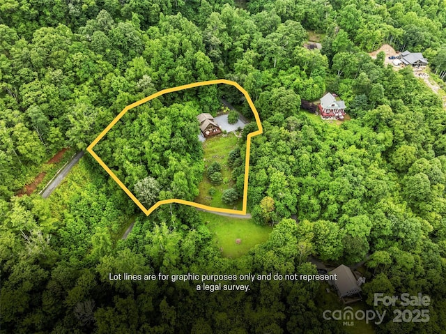 44 Black Bear Ln, Whittier, NC 28789 - photo 45