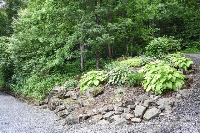 44 Black Bear Ln, Whittier, NC 28789 - photo 46