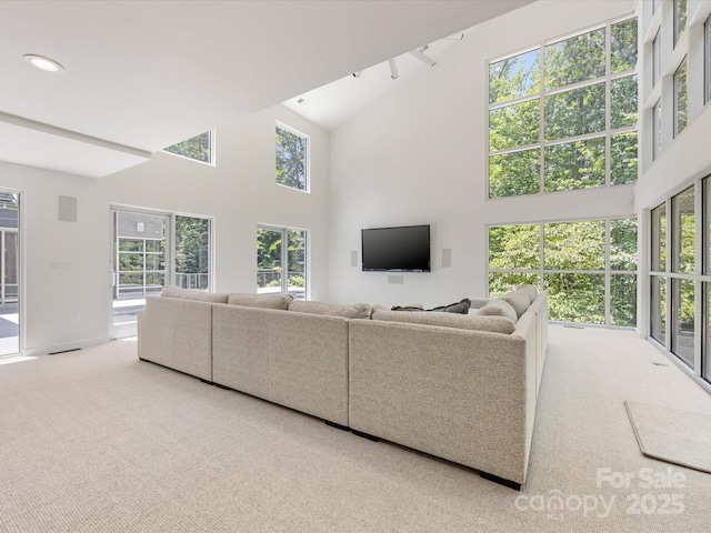 3306 Nancy Creek Rd, Charlotte, NC 28270 - living area featuring carpet and a high ceiling
