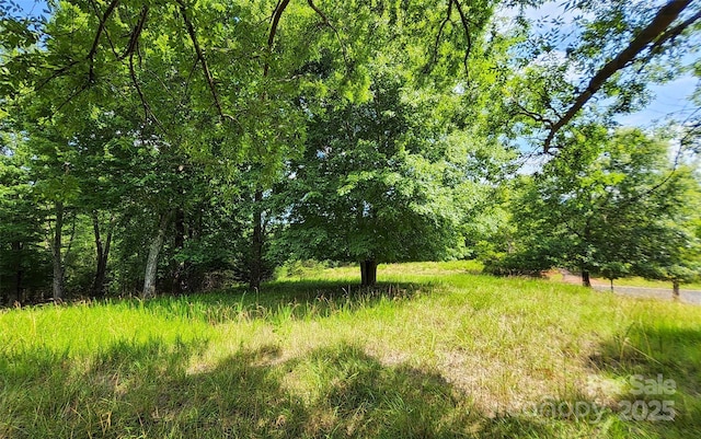 00 Mountain Pkwy Unit 52, Mill Spring, NC 28756