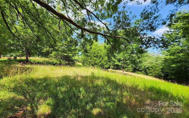 00 Mountain Pkwy Unit 52, Mill Spring, NC 28756