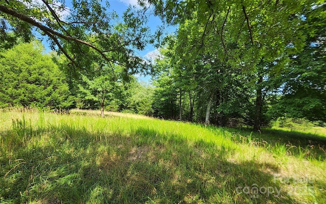 00 Mountain Pkwy Unit 52, Mill Spring, NC 28756