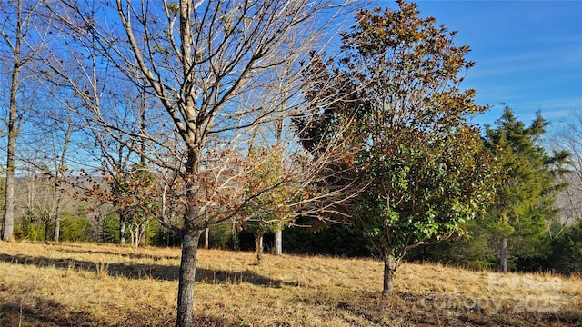 00 Mountain Pkwy Unit 52, Mill Spring, NC 28756