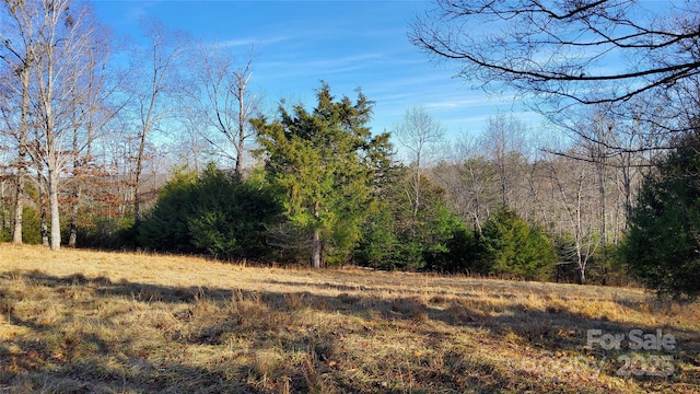 00 Mountain Pkwy Unit 52, Mill Spring, NC 28756
