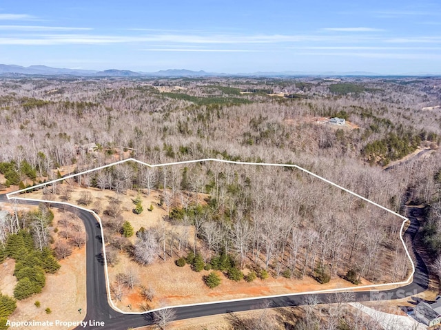 00 Mountain Pkwy Unit 52, Mill Spring, NC 28756