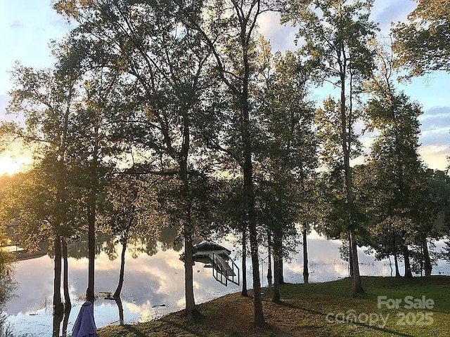 2051 Great N Rd, Winnsboro, SC 29180 - photo 30