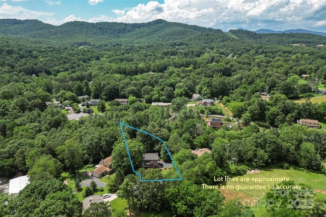 23 Forest Edge Dr, Asheville, NC 28806 - photo 24