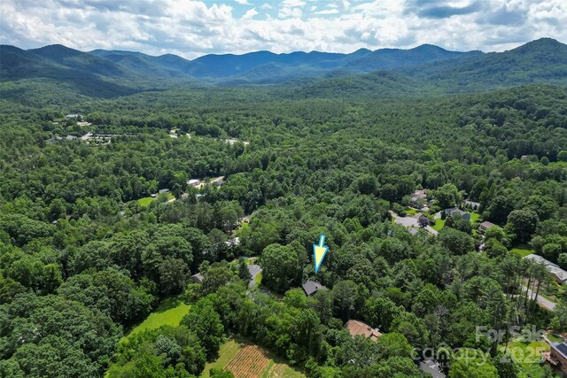23 Forest Edge Dr, Asheville, NC 28806 - photo 25