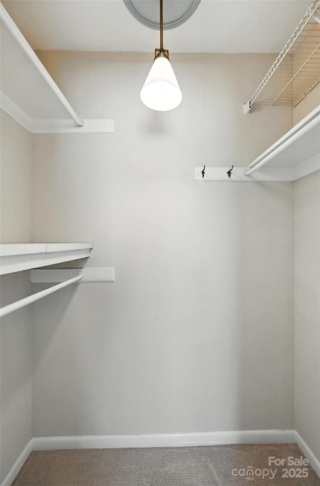 3020 Heathstead Pl Unit A, Charlotte, NC 28210 - walk in closet featuring carpet