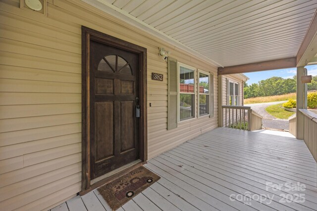 382 Onteora Blvd, Asheville, NC 28803 - photo 3