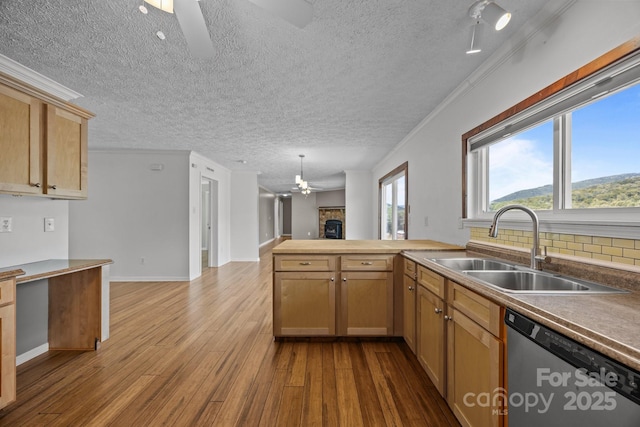 382 Onteora Blvd, Asheville, NC 28803 - photo 9