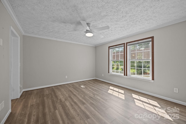 382 Onteora Blvd, Asheville, NC 28803 - photo 17