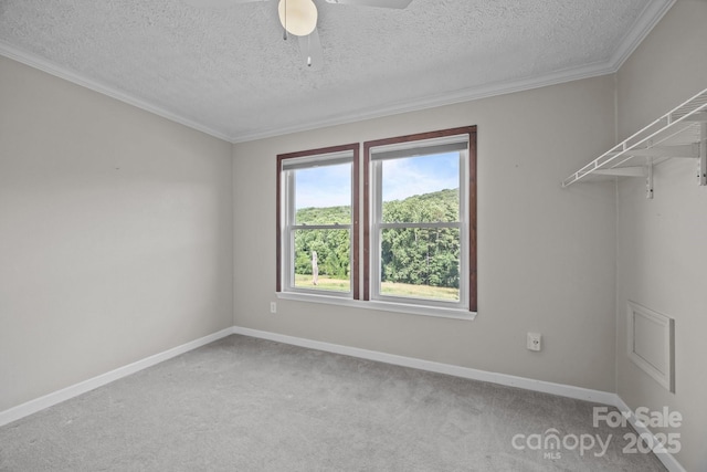 382 Onteora Blvd, Asheville, NC 28803 - photo 21