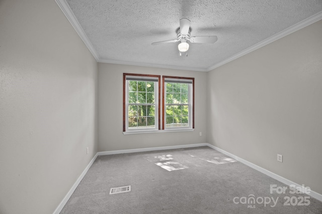 382 Onteora Blvd, Asheville, NC 28803 - photo 24