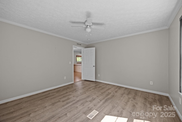 382 Onteora Blvd, Asheville, NC 28803 - photo 31