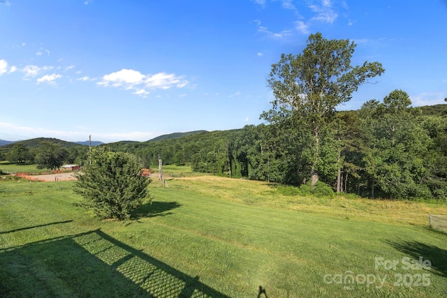382 Onteora Blvd, Asheville, NC 28803 - photo 35