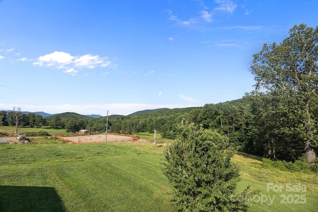 382 Onteora Blvd, Asheville, NC 28803 - photo 37