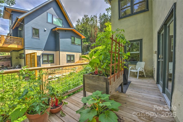 4 Duke St, Asheville, NC 28803 - photo 32