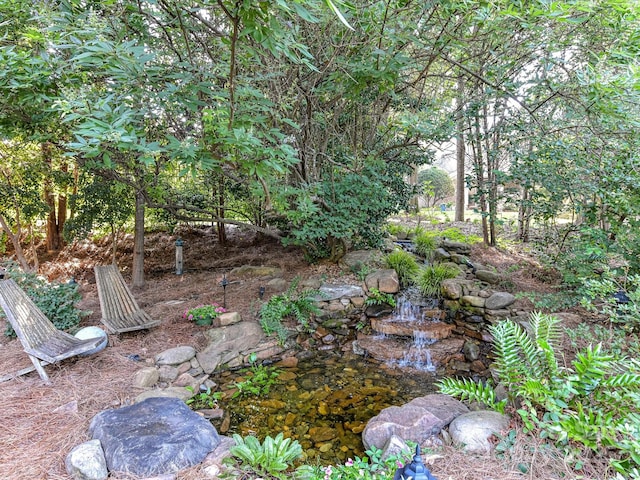 15009 Fanning Manor Ct, Charlotte, NC 28277 - photo 39