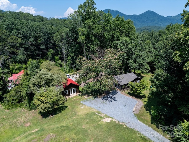 225 Wilderness Rd, Tryon, NC 28782 - aerial view of property and surrounding area featuring a forest